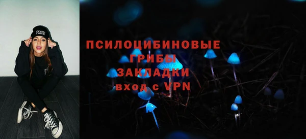 стафф Саяногорск