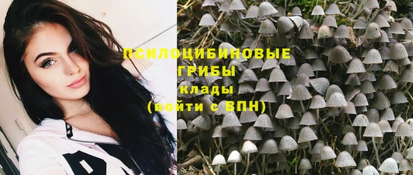 амф Арсеньев
