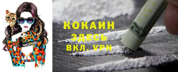 амф Арсеньев