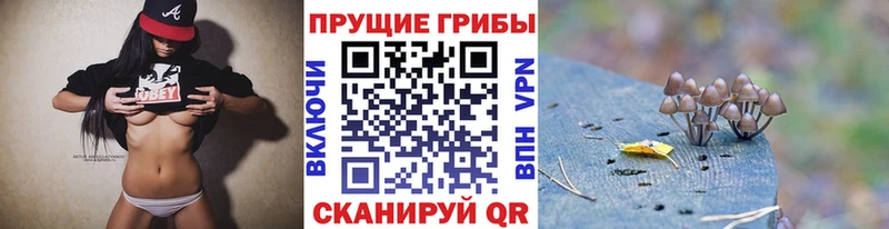 Псилоцибиновые грибы Psilocybe  Сухой Лог 